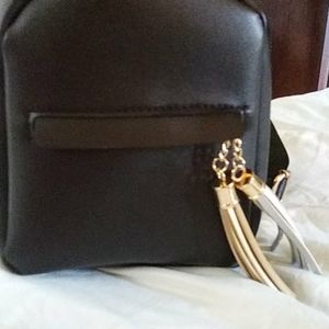 Small back purse
